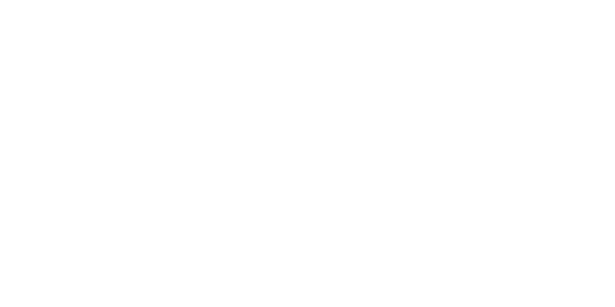 NFS Logo